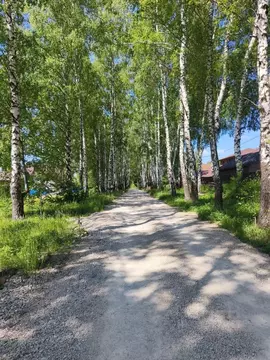 Участок в Тульская область, Тула городской округ, с. Частое ул. ...