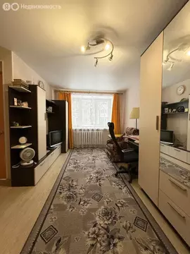 1-комнатная квартира: Чайковский, улица Кабалевского, 13 (29.6 м)