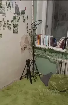 Комната Санкт-Петербург ул. Ломоносова, 14 (11.0 м)