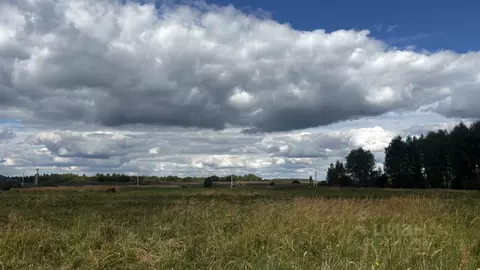 Участок в Владимирская область, Александровский муниципальный округ, ...