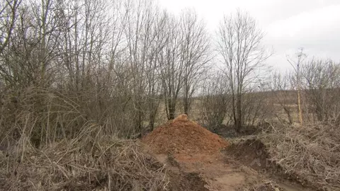 Участок в Московская область, Рузский муниципальный округ, д. Орешки  ...