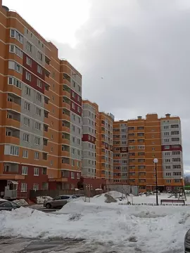 1-к кв. Брянская область, Брянский район, пос. Мичуринский ул. Андрея ...