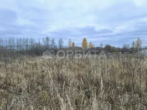 Участок в Тюменская область, Тюмень Царево садовое товарищество, ул. ...