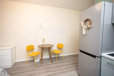 Студия Санкт-Петербург пос. Стрельна, просп. Буденного, 20к1 (24.55 м)