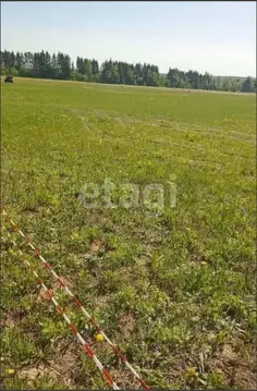 Участок в Калужская область, Боровский муниципальный округ, ...