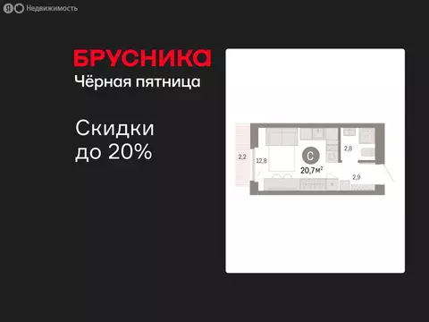 Квартира-студия: Новосибирский район, рабочий посёлок Краснообск, 3-й ...