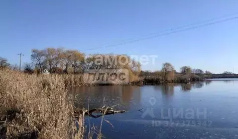 Участок в Краснодарский край, Динской район, Пластуновское с/пос, ...
