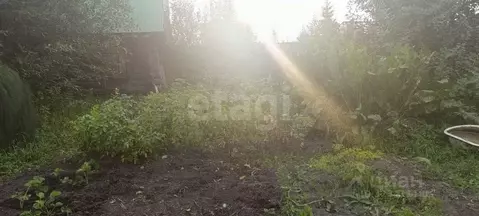 Дом в Тюменская область, Тюмень Автомобилист СНТ, ул. Облепиховая (20 ...