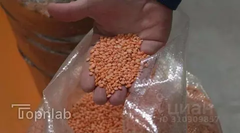 Производственное помещение в Алтайский край, Рубцовск ул. Некрасова, 8 ...