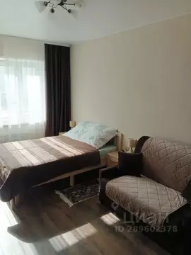 1-к кв. Псковская область, Псков Инженерная ул., 132 (38.0 м)