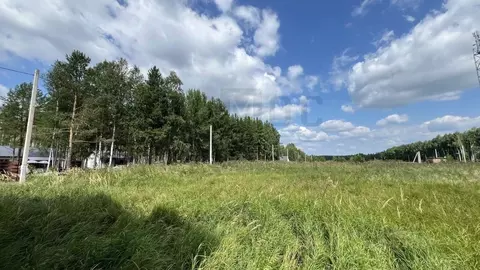 Участок в Свердловская область, Полевской муниципальный округ, с. ...