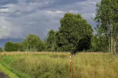 Участок в Ленинградская область, Всеволожский район, Куйвозовское ...