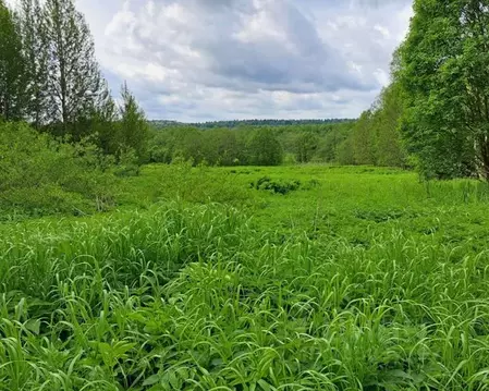 Участок в Московская область, Можайский муниципальный округ, д. ...