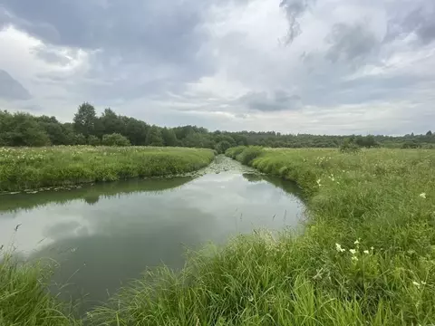 Участок в Владимирская область, Александровский муниципальный округ, ...
