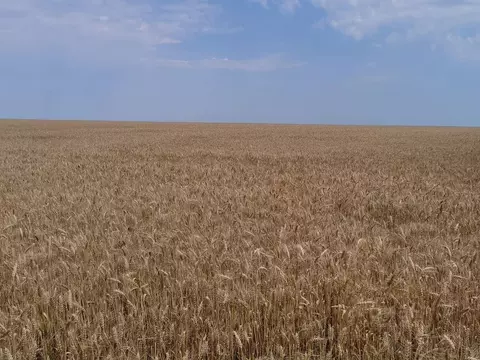 Участок в Самарская область, Красноярский район, Новый Буян с/пос  ...