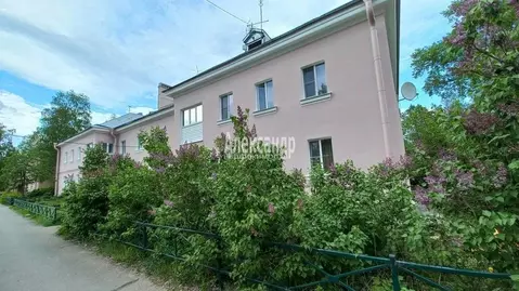 Комната Санкт-Петербург пос. Песочный, Ленинградская ул., 63 (16.8 м)