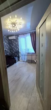 1-к кв. Санкт-Петербург Ново-Александровская ул., 14 (41.5 м)