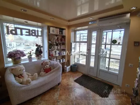 Помещение свободного назначения в Карелия, Петрозаводск Ленинградская ...