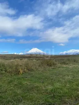 Участок в Камчатский край, Елизовский муниципальный округ, пос. ...