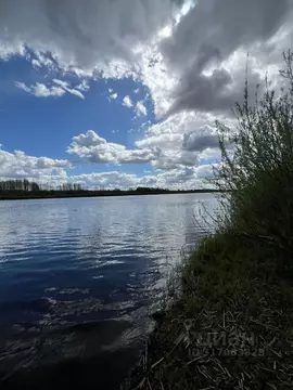 Дом в Псковская область, Палкинская волость, д. Мольгино  (22 м)
