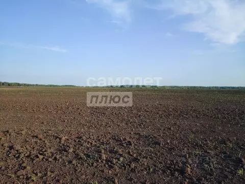 Участок в Тюменская область, Тюменский муниципальный округ, д. Зырянка ...
