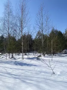 Участок в Татарстан, Зеленодольский район, Большекургузинское с/пос, ...