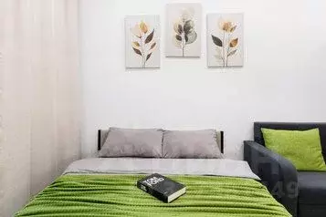 1-к кв. Татарстан, Казань ул. Родины, 26Е (30.0 м)