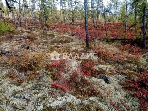 Участок в Ленинградская область, Всеволожский район, Заневское ...