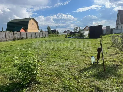 Участок в Новосибирская область, Новосибирский район, Кубовинский ...