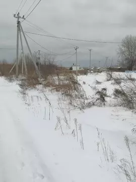 Участок в Алтайский край, Первомайский район, с. Фирсово  (10.5 сот.)