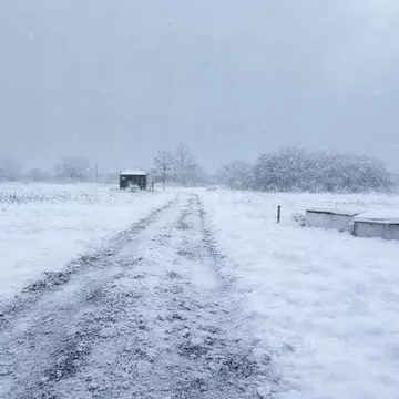 Участок в Сахалинская область, Анивский городской округ, с. ...
