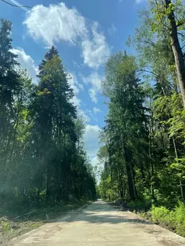 Участок в Московская область, Дмитровский муниципальный округ, д. ...