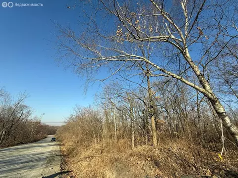 Участок в Артём, СТ Глобус-1 (10 м)