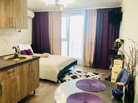 Студия Ростовская область, Ростов-на-Дону ул. Еременко, 114/1с1 (25.0 ...