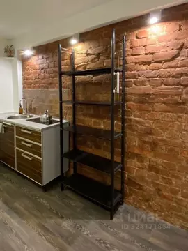 2-к кв. Санкт-Петербург Кронверкская ул., 12 (43.0 м)