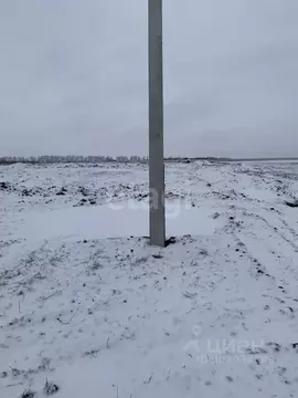 Участок в Белгородская область, Белгородский район, Головинское с/пос, ...