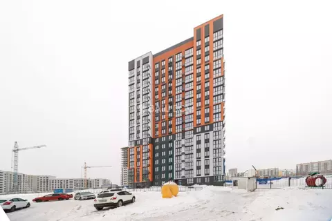 Студия Брянская область, Брянск ул. Имени И.Н. Лысенко, 12 (28.0 м)