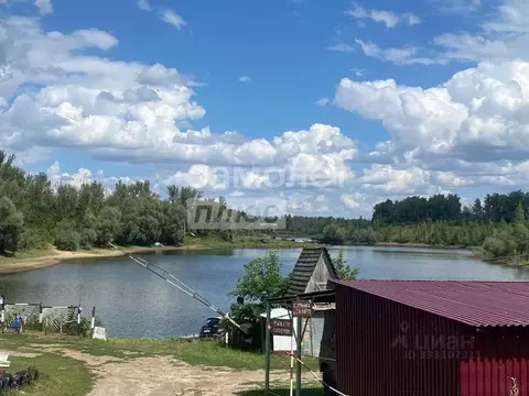 Участок в Липецкая область, Липецкий муниципальный округ, с. Частая ...