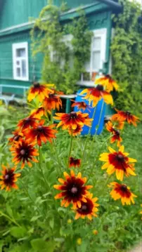 Дом в Калужская область, Малоярославец Колос СНТ, 5 (15 м)