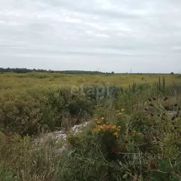 Участок в Тюменская область, Тюмень  (8.97 сот.)