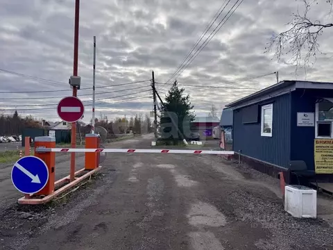 Участок в Ленинградская область, Ломоносовский район, Виллозское ...