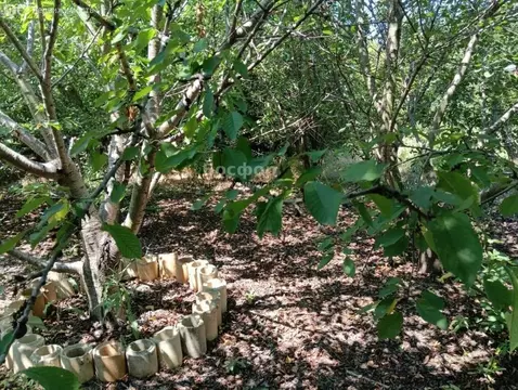 Дом в Кировское, 11-я улица (103 м)