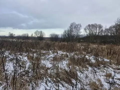 Участок в Московская область, Ступино городской округ, д. Дубнево  ...