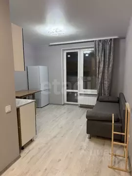 Студия Тюменская область, Тюмень Велижанская ул., 66к1 (24.4 м)