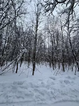 Участок в Московская область, Ступино городской округ, д. Никольская ...