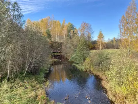 Участок в Псковская область, Гдов городское поселение  (31.0 сот.)