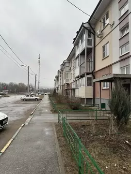 1-к кв. Нижегородская область, Нижний Новгород Палисадная ул., 3 (41.3 ...