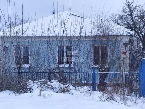 Дом в Воронежская область, Хохольский район, с. Новогремяченское ул. ...