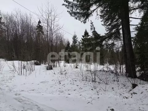 Участок в Свердловская область, Нижний Тагил муниципальный округ, пос. ...