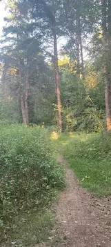 3-к кв. Москва пос. Рублево, ш. Обводное, 6 (56.7 м)